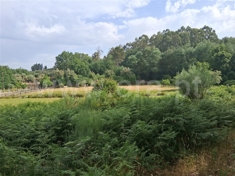 Terreno  Seia, Paranhos - 1488871 - 8