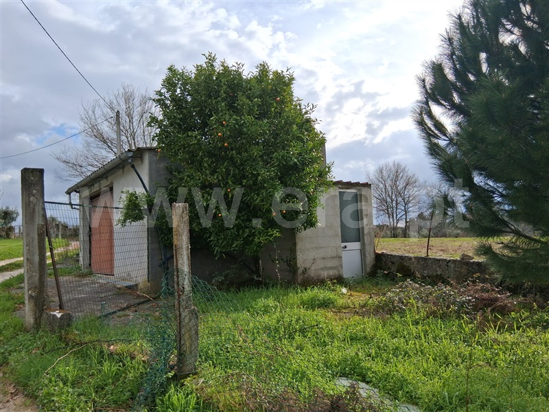 Terreno / Seia, Paranhos