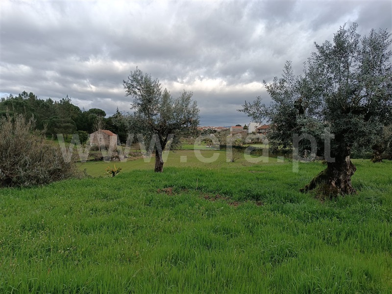 Terreno / Seia, Paranhos