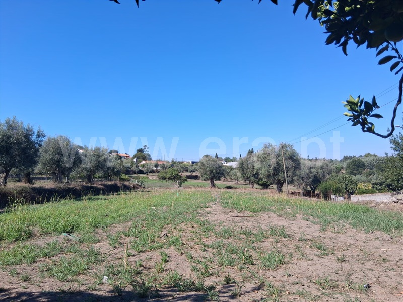 Terreno / Seia, Paranhos