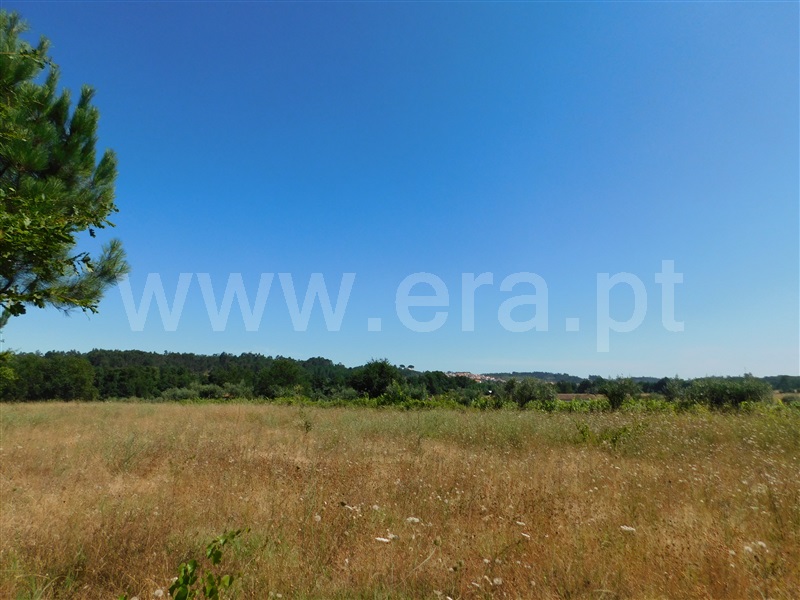 Terreno  Seia, Pinhanços - 1192410 - 6