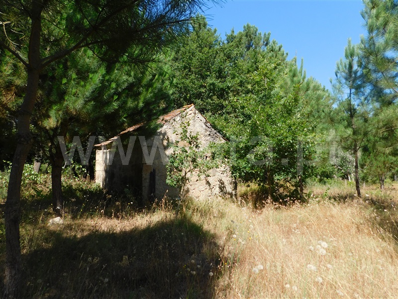 Terreno  Seia, Pinhanços - 1192410 - 7