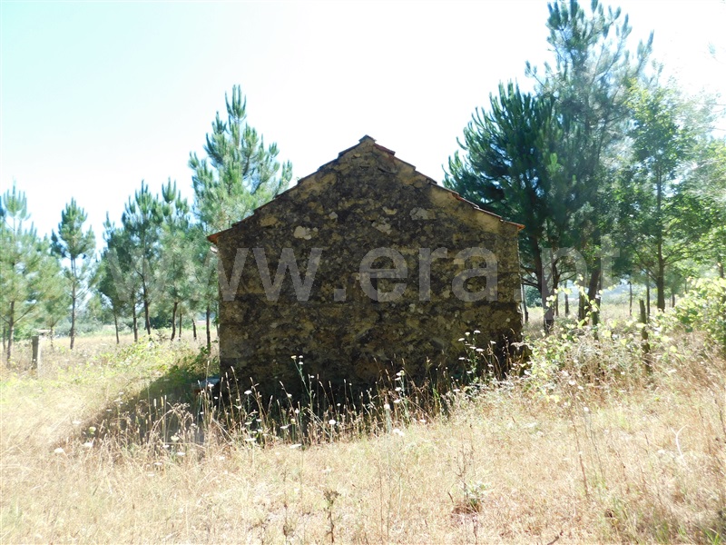 Terreno  Seia, Pinhanços - 1192410 - 10