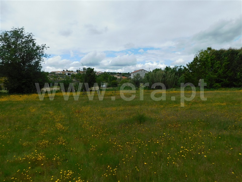 Terreno  Seia, Pinhanços - 1403782 - 2
