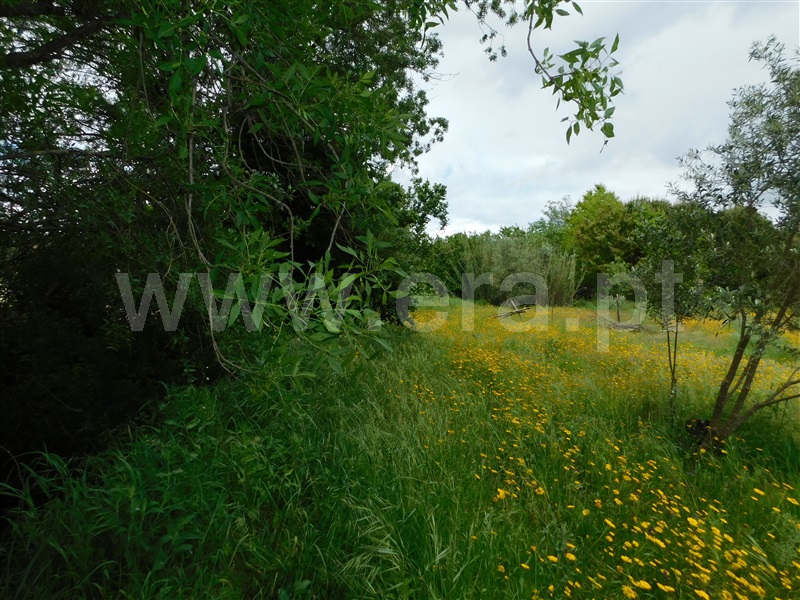 Terreno  Seia, Pinhanços - 1403782 - 4