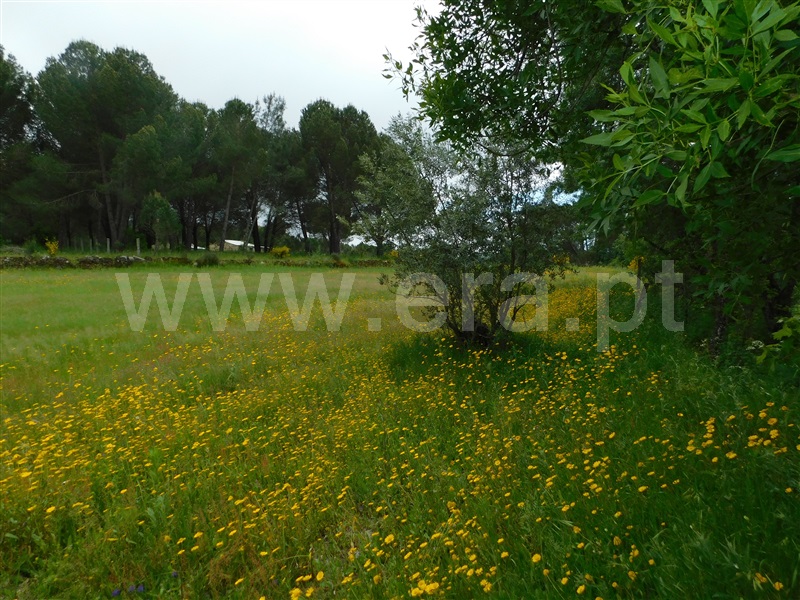 Terreno  Seia, Pinhanços - 1403782 - 5