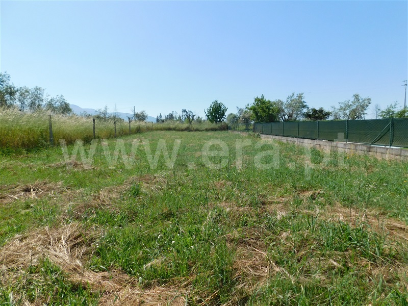 Terreno / Seia, Sameice e Santa Eulália