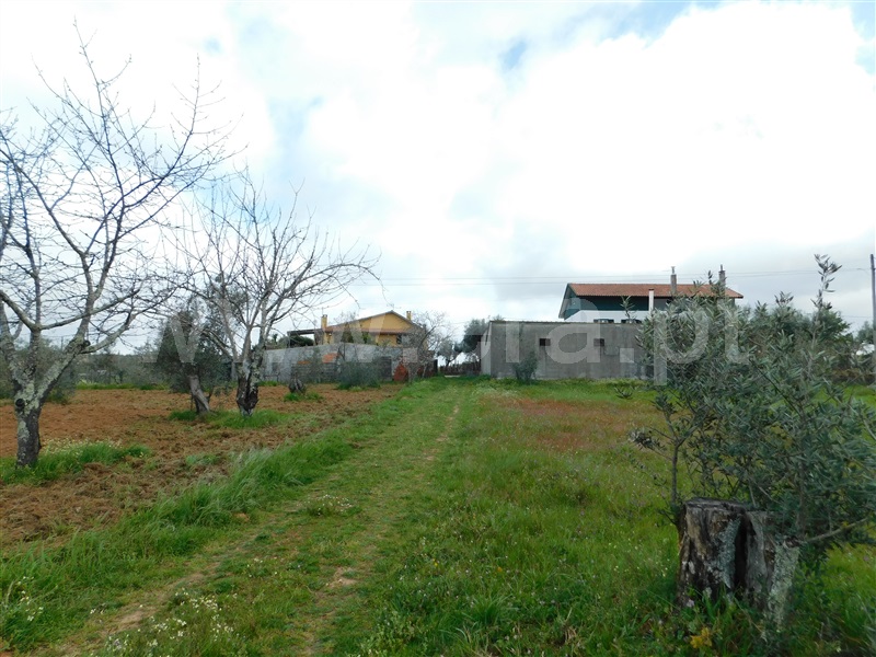 Terreno  Seia, Sameice e Santa Eulália - 1320052 - 1