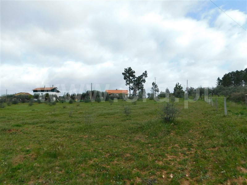 Terreno  Seia, Sameice e Santa Eulália - 1320052 - 8
