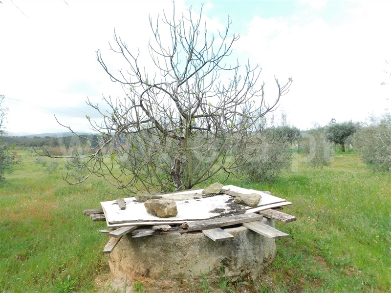 Terreno  Seia, Sameice e Santa Eulália - 1320052 - 11