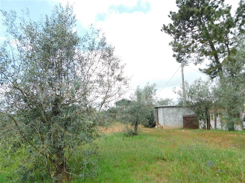 Terreno  Seia, Sameice e Santa Eulália - 1320052 - 13