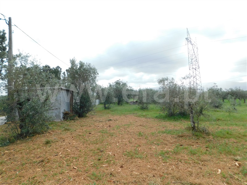 Terreno  Seia, Sameice e Santa Eulália - 1320052 - 14