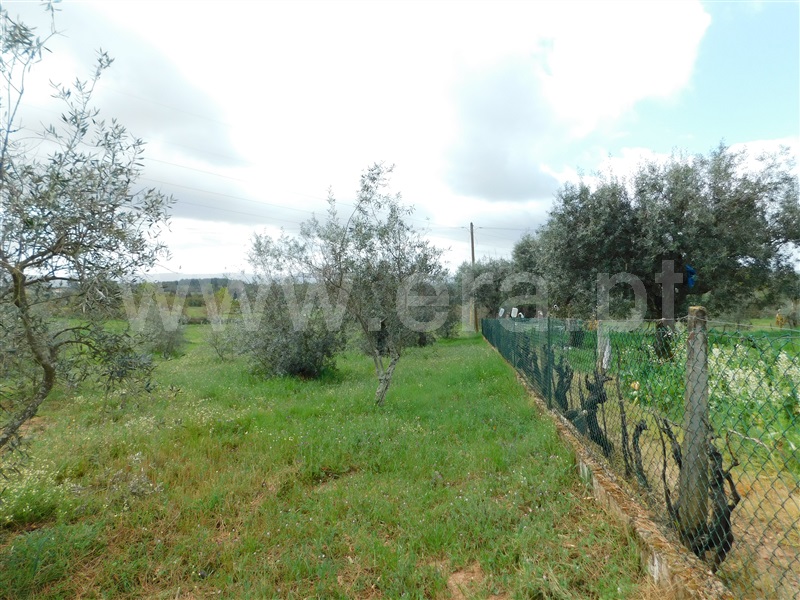 Terreno  Seia, Sameice e Santa Eulália - 1320052 - 15