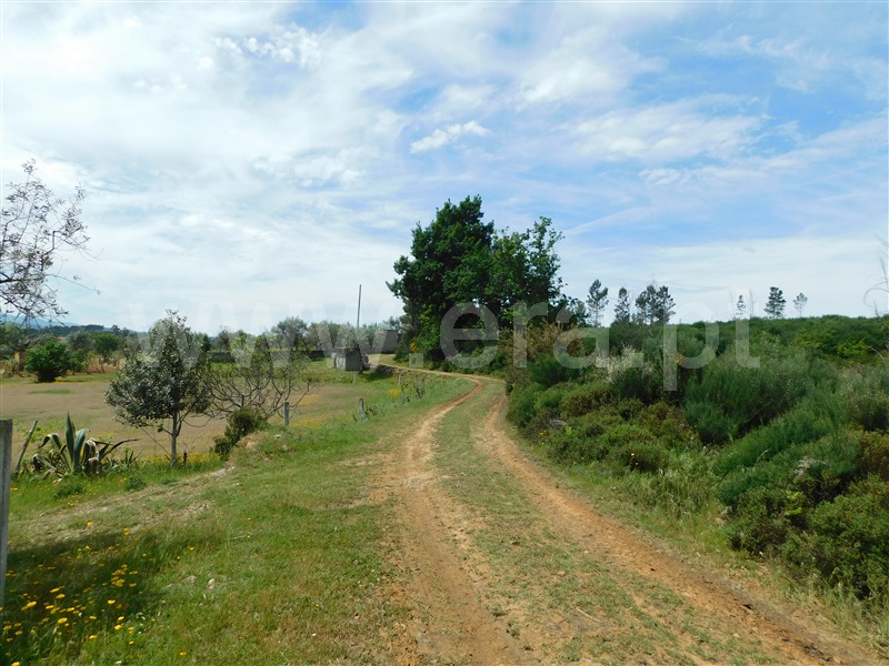 Terreno  Seia, Sameice e Santa Eulália - 1325523 - 1