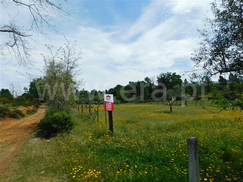 Terreno  Seia, Sameice e Santa Eulália - 1325523 - 2