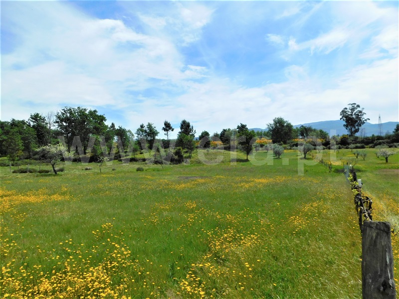 Terreno  Seia, Sameice e Santa Eulália - 1325523 - 6