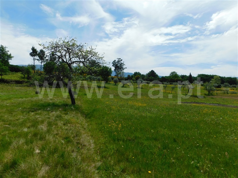 Terreno  Seia, Sameice e Santa Eulália - 1325523 - 7
