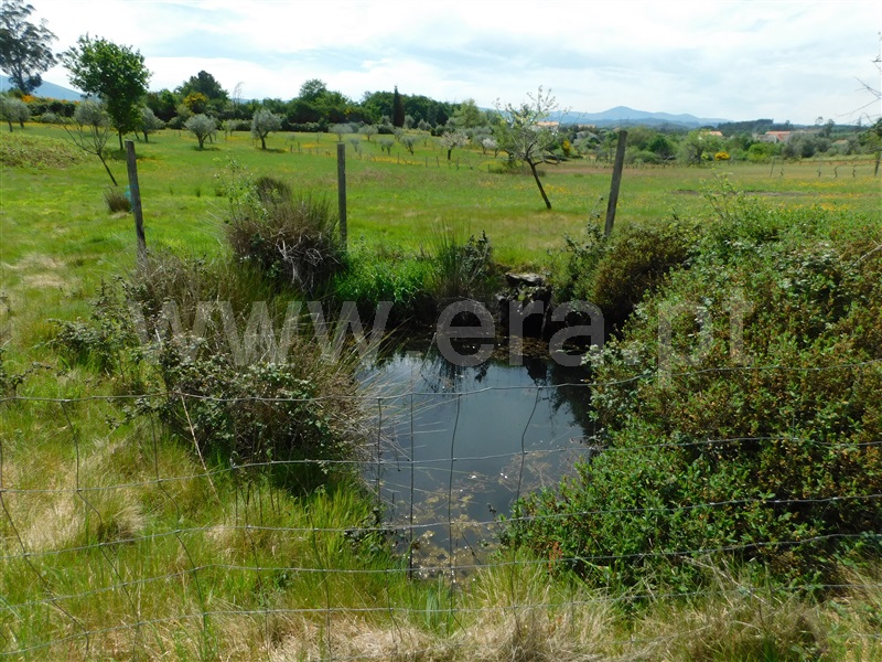 Terreno  Seia, Sameice e Santa Eulália - 1325523 - 9