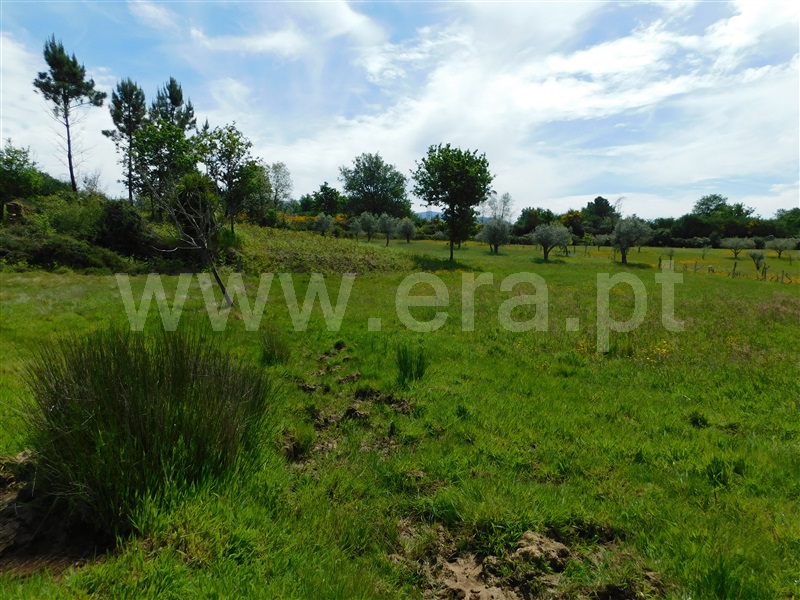 Terreno  Seia, Sameice e Santa Eulália - 1325523 - 10