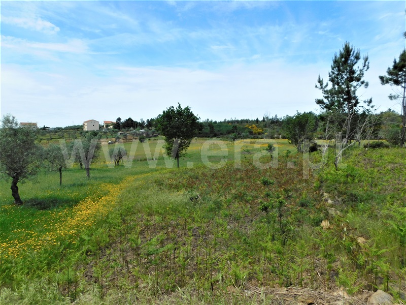 Terreno  Seia, Sameice e Santa Eulália - 1325523 - 11