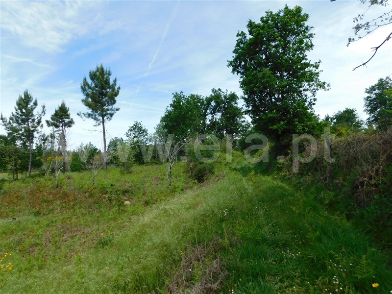 Terreno  Seia, Sameice e Santa Eulália - 1325523 - 13