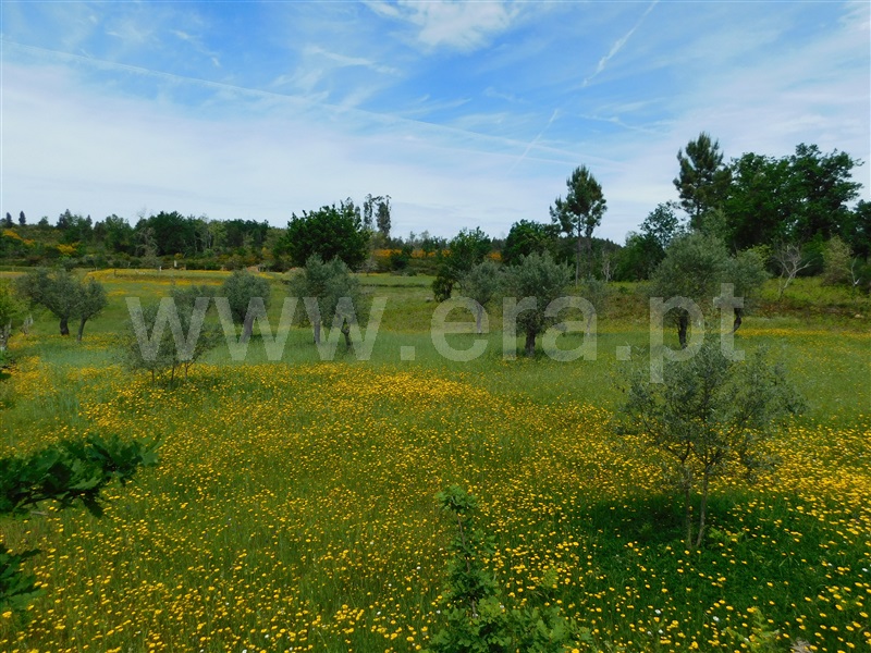 Terreno  Seia, Sameice e Santa Eulália - 1325523 - 14
