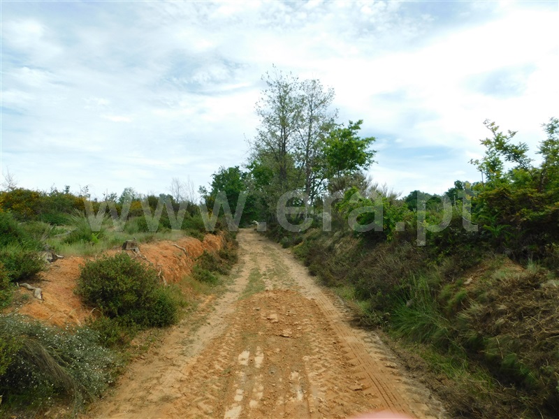 Terreno  Seia, Sameice e Santa Eulália - 1325523 - 16