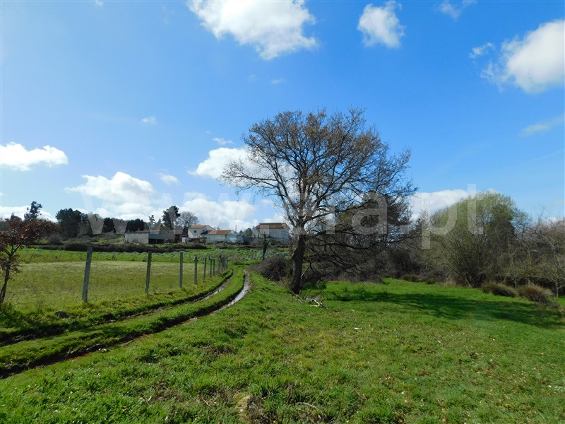 Terreno  Seia, Sameice e Santa Eulália - 1325523 - 19