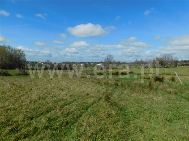 Terreno  Seia, Sameice e Santa Eulália - 1325523 - 20