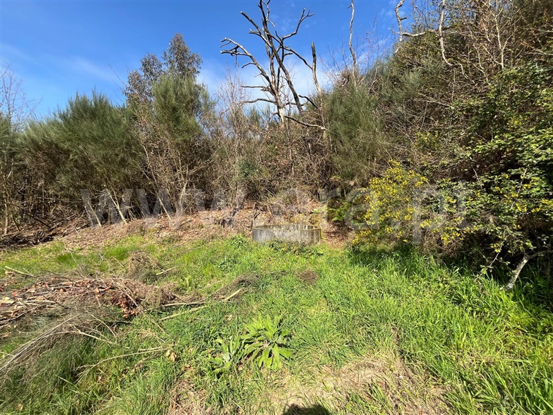 Terreno  Seia, Sameice e Santa Eulália - 1479929 - 2