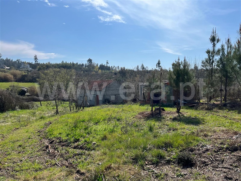 Terreno / Seia, Sameice e Santa Eulália