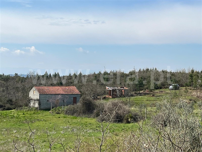Terreno  Seia, Sameice e Santa Eulália - 1479929 - 7