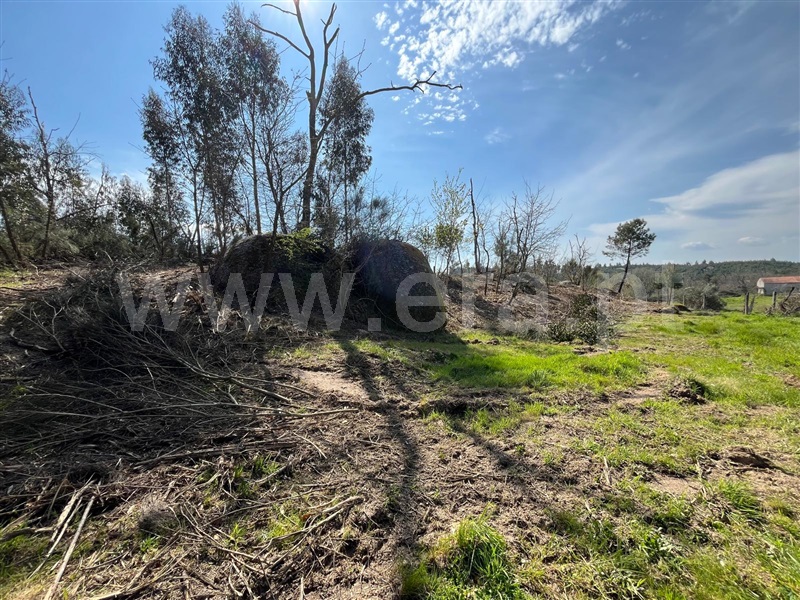 Terreno  Seia, Sameice e Santa Eulália - 1479929 - 8
