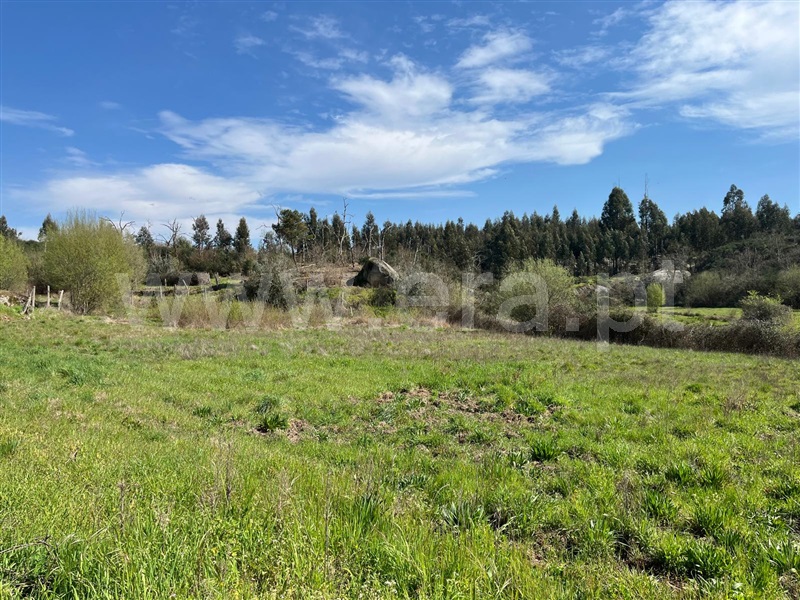 Terreno  Seia, Sameice e Santa Eulália - 1479929 - 9