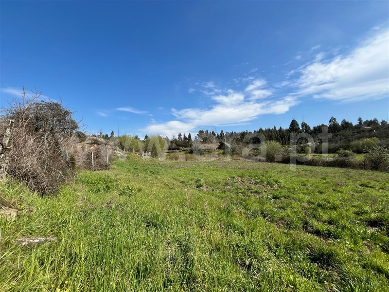 Terreno  Seia, Sameice e Santa Eulália - 1479929 - 10