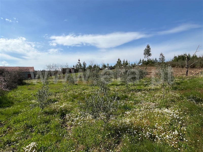 Terreno  Seia, Sameice e Santa Eulália - 1479929 - 11