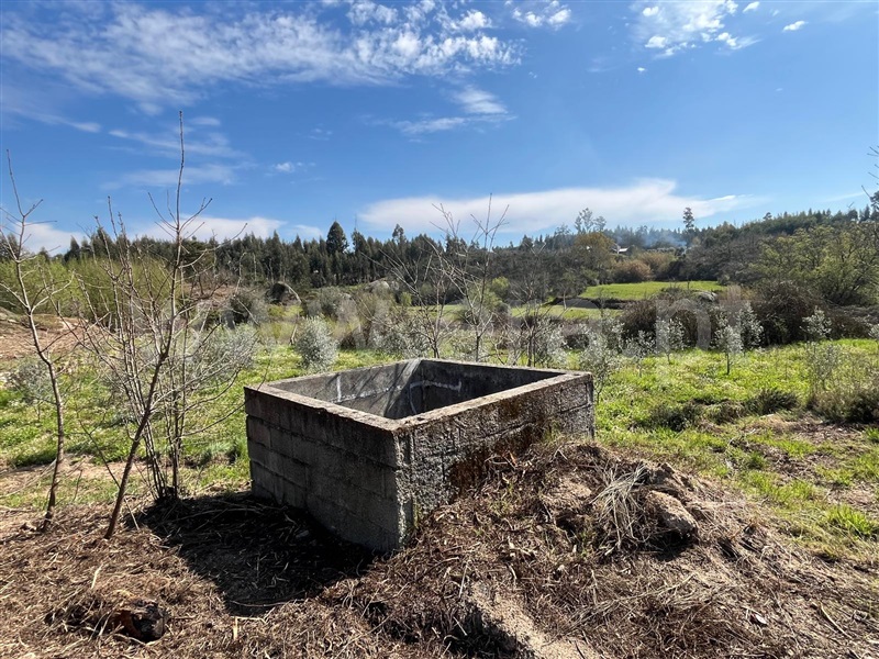 Terreno  Seia, Sameice e Santa Eulália - 1479929 - 12