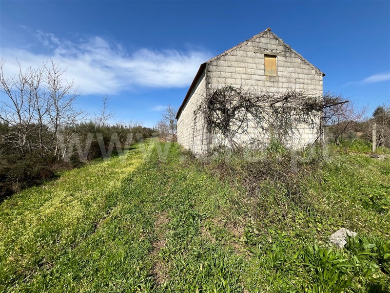 Terreno  Seia, Sameice e Santa Eulália - 1479929 - 14