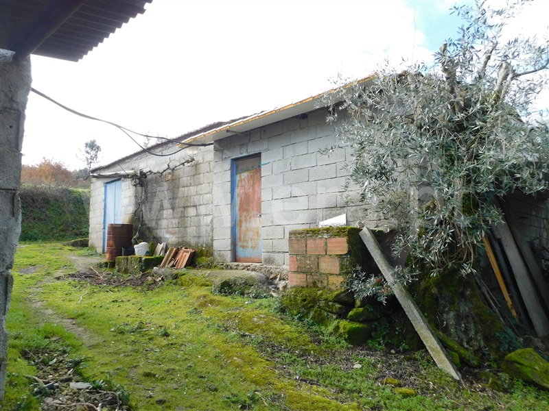 Terreno / Seia, Sameice e Santa Eulália