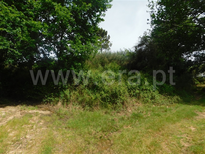 Terreno / Seia, Sameice e Santa Eulália
