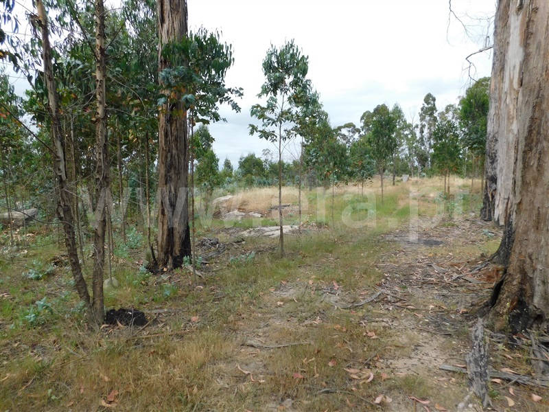 Terreno  Seia, Sameice - 1254616 - 1