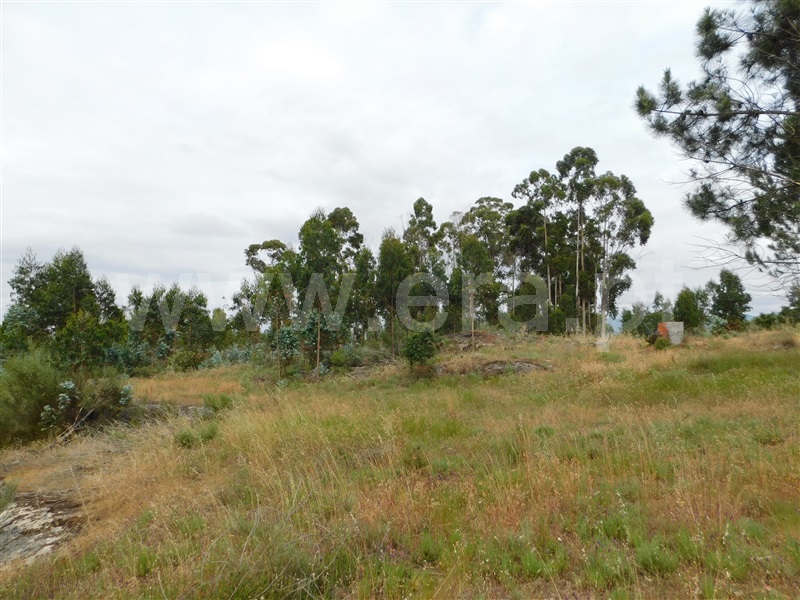 Terreno  Seia, Sameice - 1254616 - 5