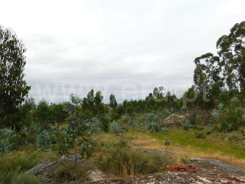 Terreno  Seia, Sameice - 1254616 - 7