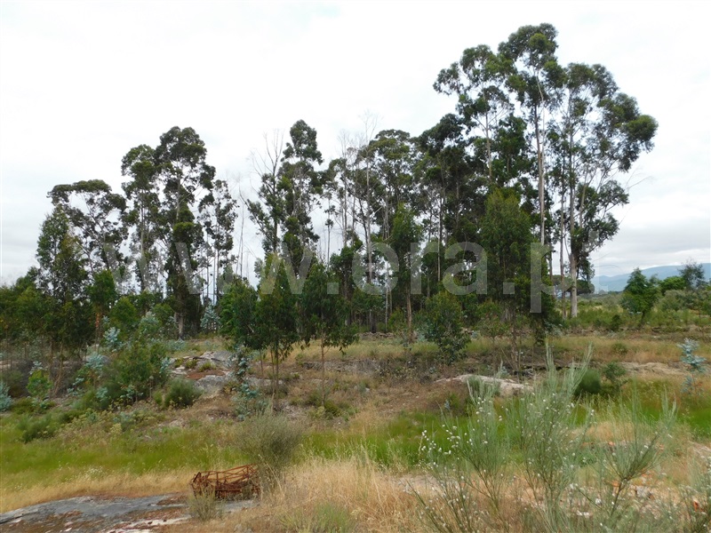 Terreno  Seia, Sameice - 1254616 - 8