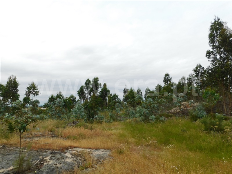Terreno  Seia, Sameice - 1254616 - 11