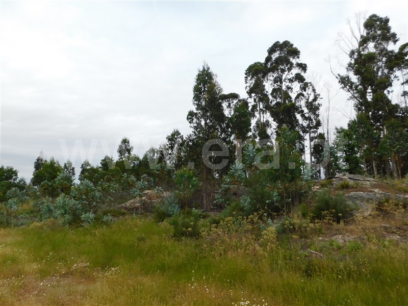 Terreno  Seia, Sameice - 1254616 - 12