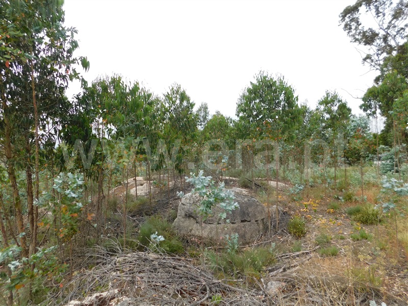 Terreno  Seia, Sameice - 1254616 - 14
