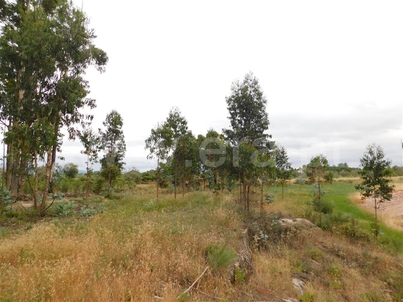Terreno  Seia, Sameice - 1254616 - 15