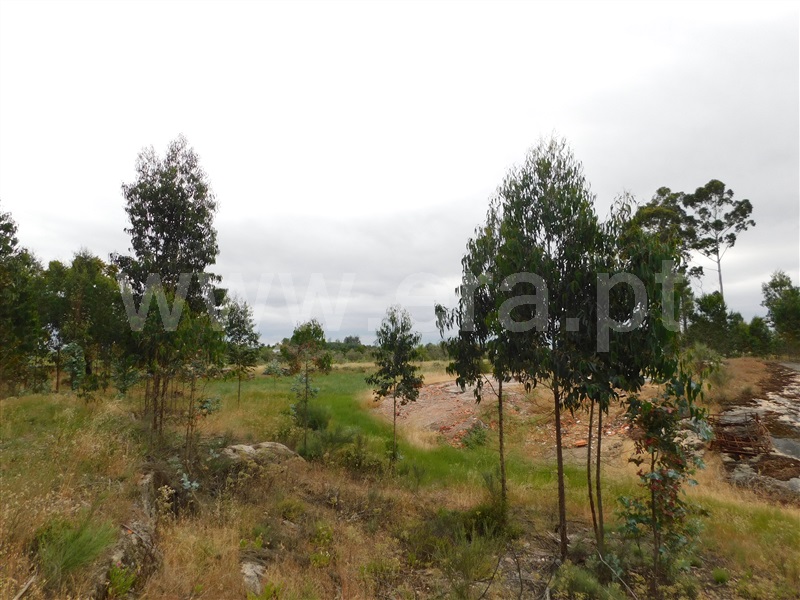 Terreno  Seia, Sameice - 1254616 - 16