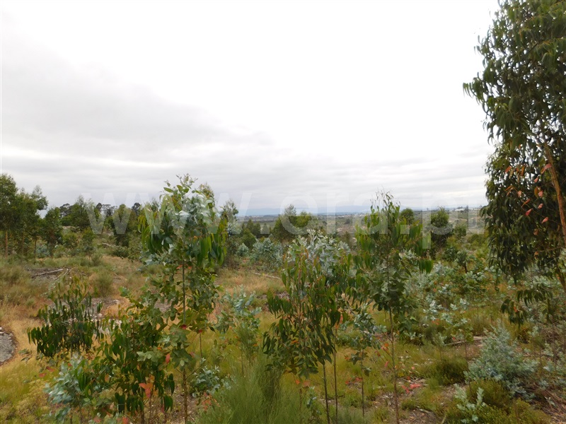 Terreno  Seia, Sameice - 1254616 - 17
